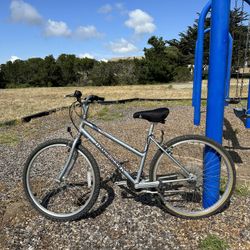 Diamondback Wildwood Bike