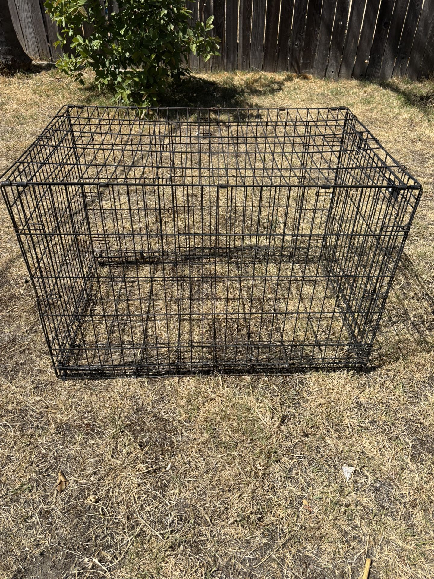 Dog Cage