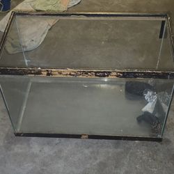 10 Gal Aquarium 