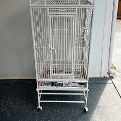 Bird Cage 