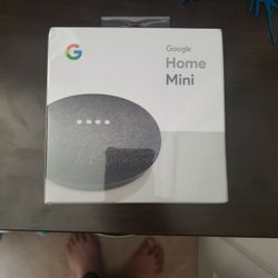 Google Home Mini