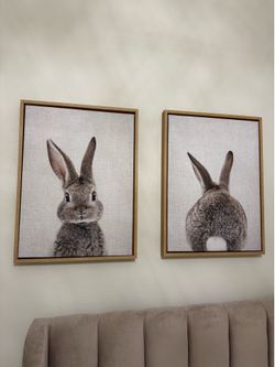 Bunny Framed Canvas Wall Art