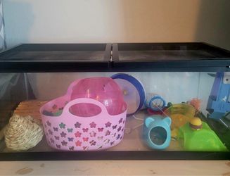 20 gal long aquarium