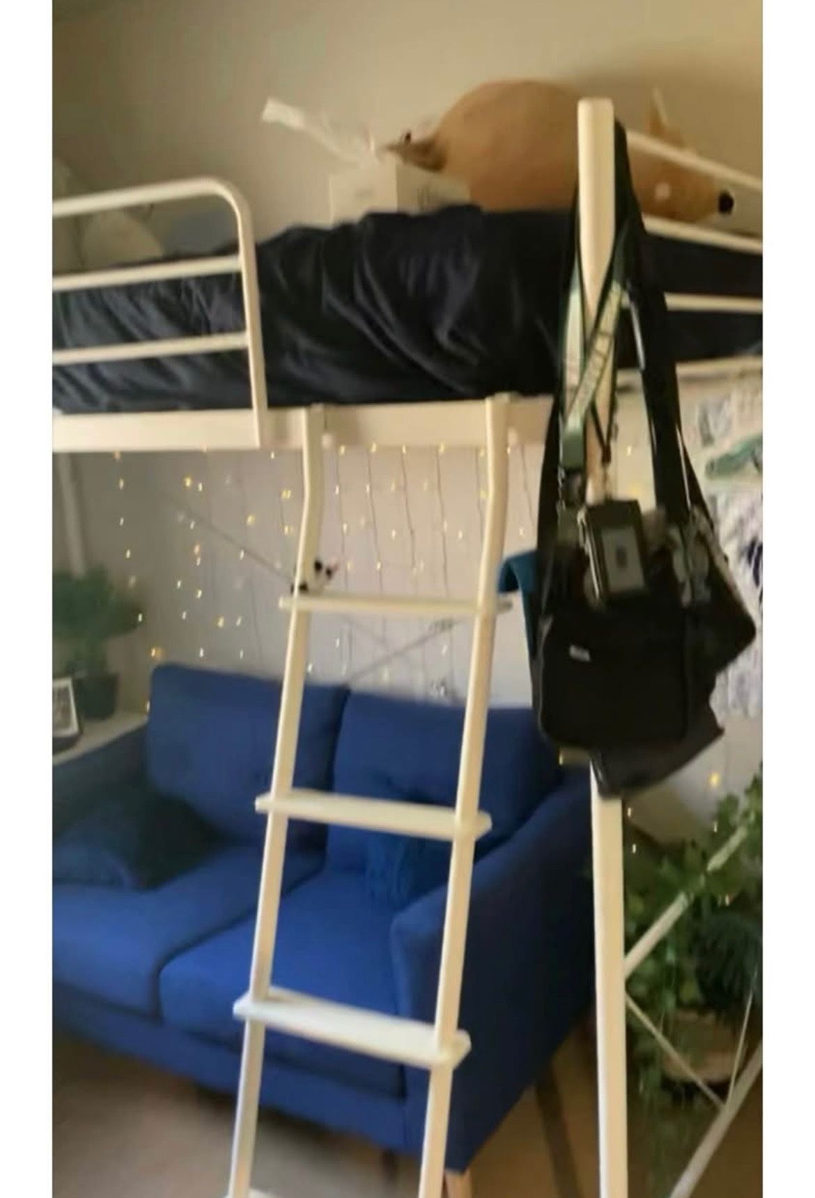 Loft Bed