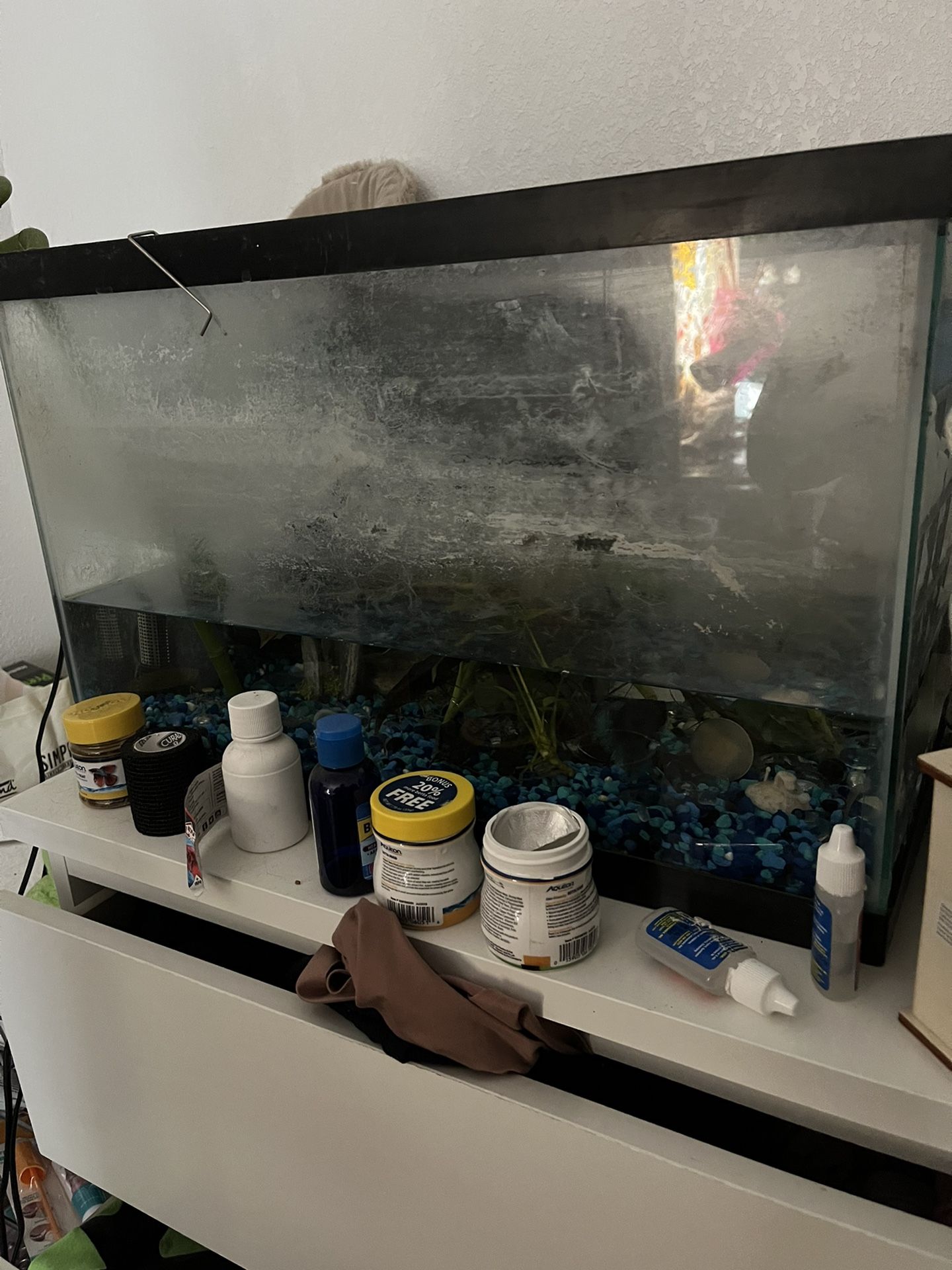 Free Fish Tank and Fish for Sale in Pomona, CA OfferUp