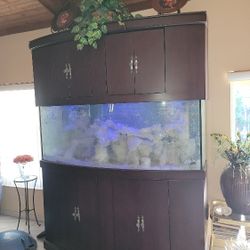250 Gallon Bow Front Salt Water Aquarium Fish Tank Spent $35k Custom Built Message For Dimensions
