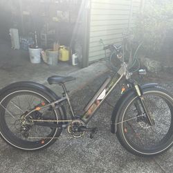 Rad Rover 6 Plus (Black) Step Thru Frame