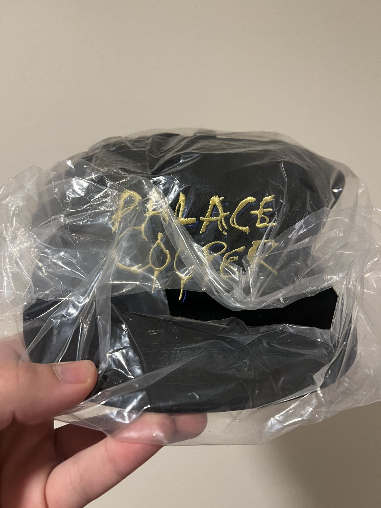 Palace Cooper Hat