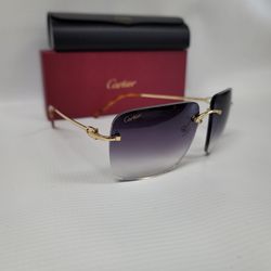 Cartier Small C Sunglasses