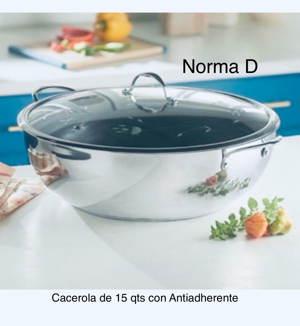 Cacerola De 15 Qts Con Antiadherente Nueva En Su Caja ๐บ Princess House ๐บ