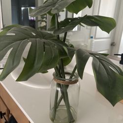 fake plant 
