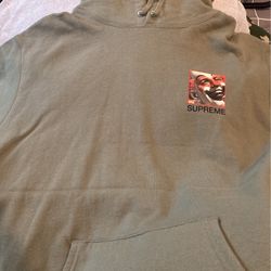 Supreme Hoodie Butthole Surfers