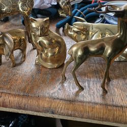 Brass animales