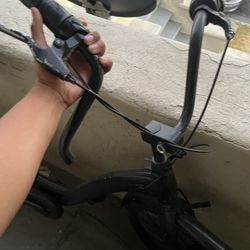 Black Beach Cruiser 