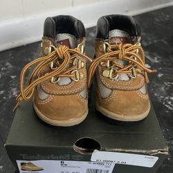 6C Toddler Timberland Boots