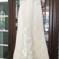 David’s Bridal gown Sz 4 Petite Ivory/champagne wedding gown & Veil 