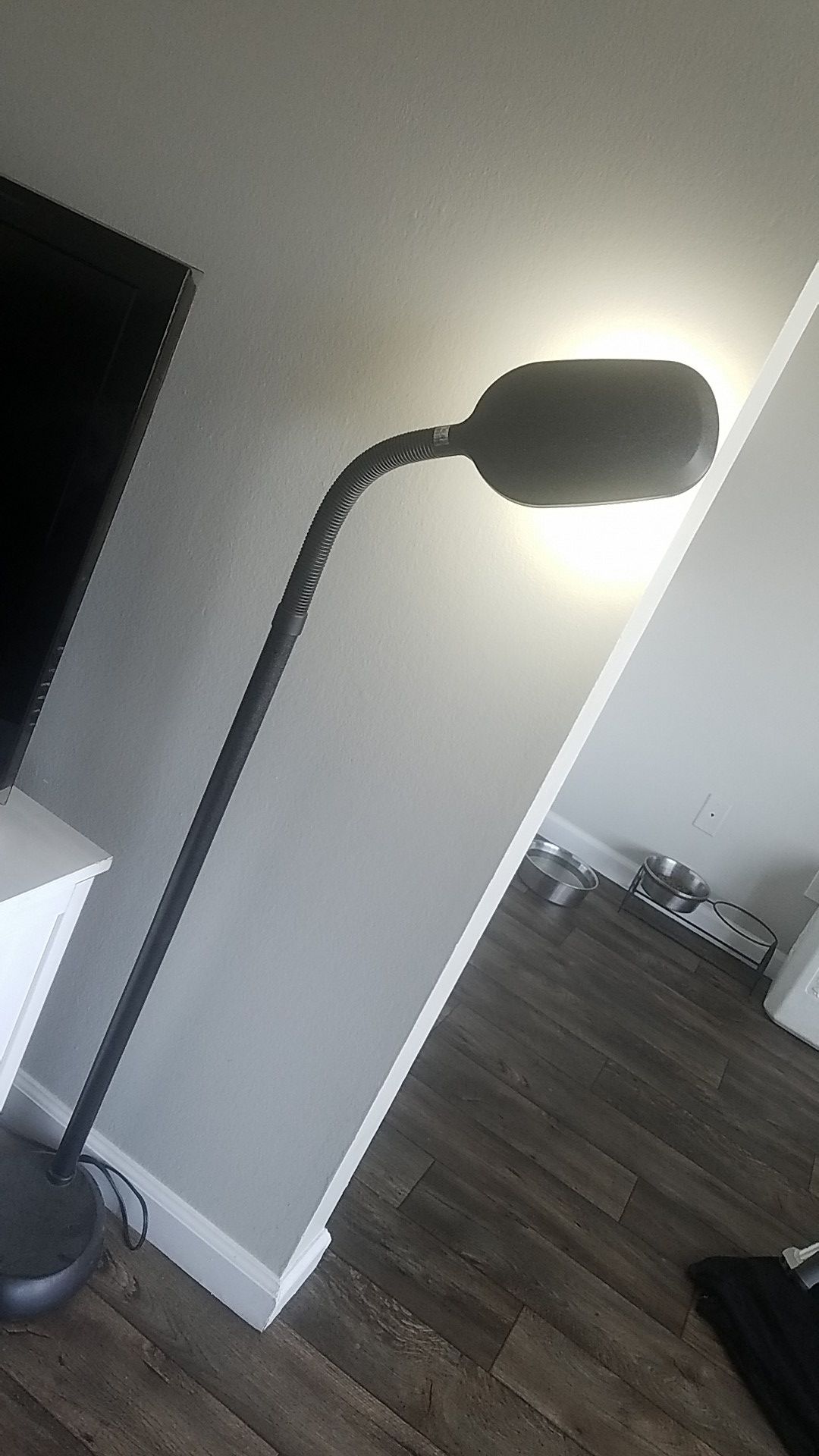 Standing desk lamp reading lamp