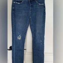 anthropologie PILCRO slim boyfriend distressed stretch blue jeans sz 28