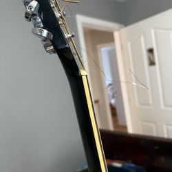 Fender Guitars 