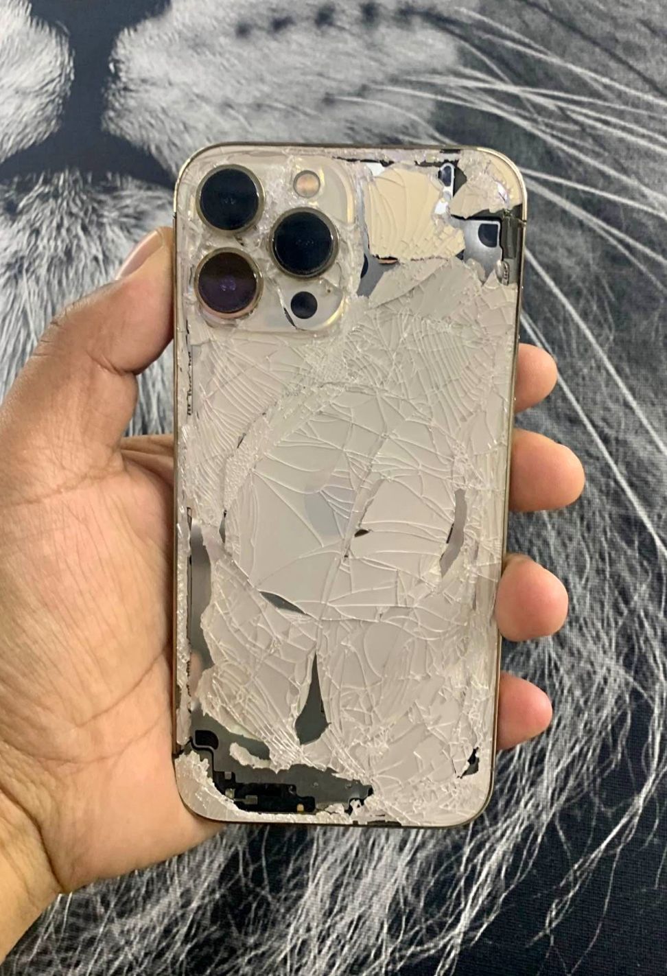 iPhone 14 Pro Max ( Back Glass ? We Can Help )