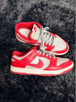 UNLV nike dunks size 11 men