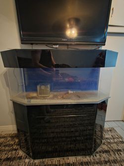 55 gallon hexagon fishtank and stand