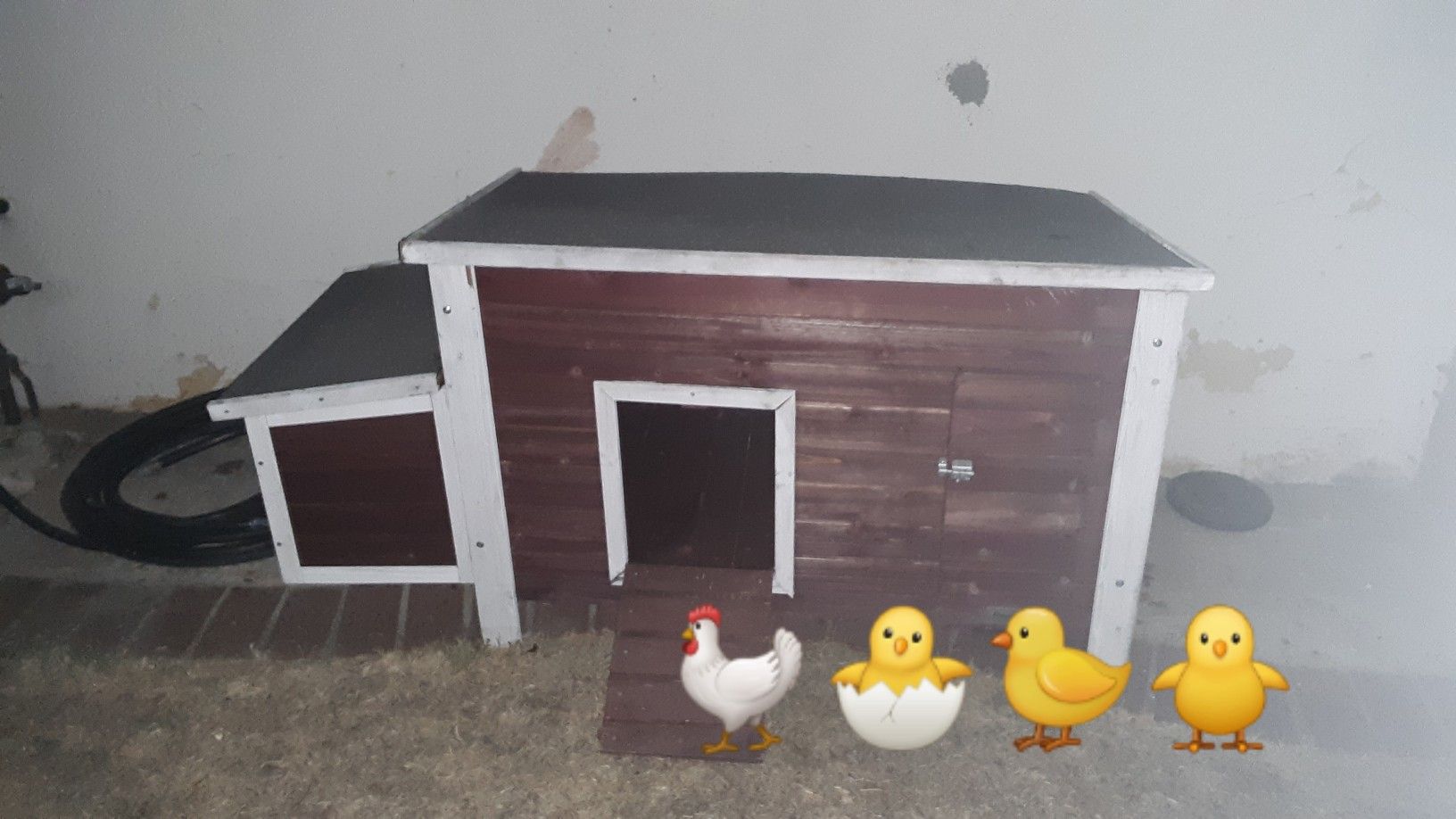 Henn house or rabbit coop