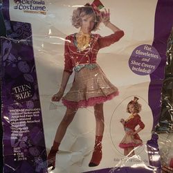 Teen / Tween Mad Hatter Costume