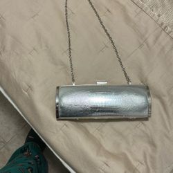 Silver Purse