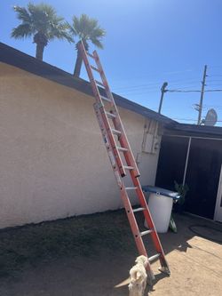 Ladder
