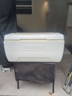 Igloo  cooler 150 QT
