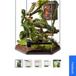 Hexagon Terrarium