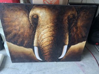 Big frame of an elephant