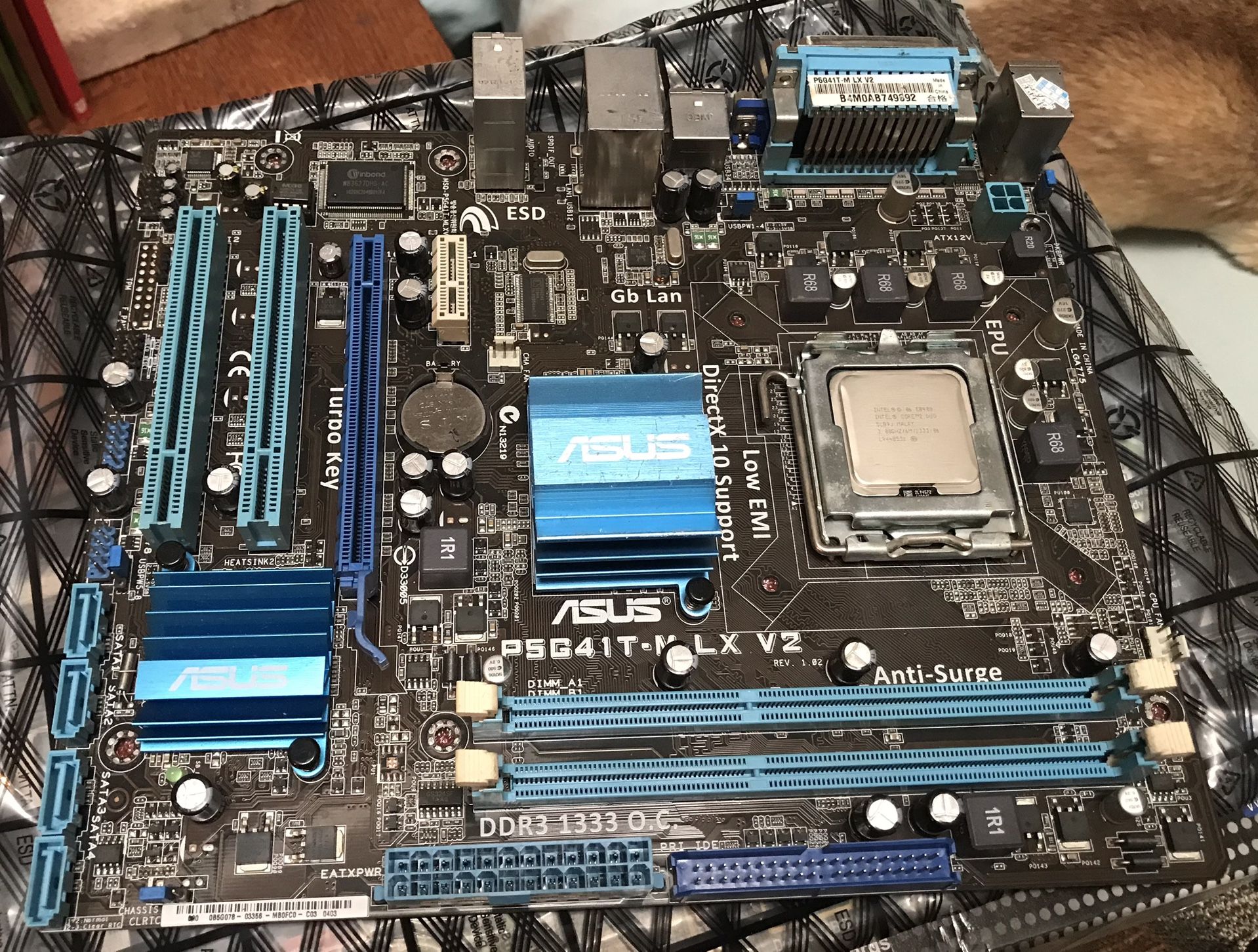 Intel CPU + ASUS Motherboard Combo