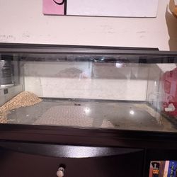 2 Tanks 