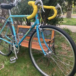 Fuji 450 RE Road Bike (Terry Model)