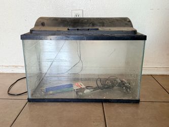 10 Gallon Glass Aquarium with Lid, Light and Heater (LxWxH): 10” x 20” x 12”)