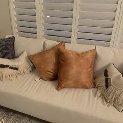 2 Large Decorative Pillows