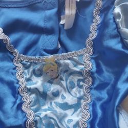Princess Cinderella Custom Size 3