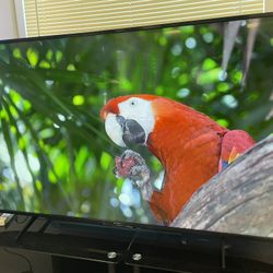 Sony  Tv 65 Inch Smart Tv 4K KD65X75CH QLED