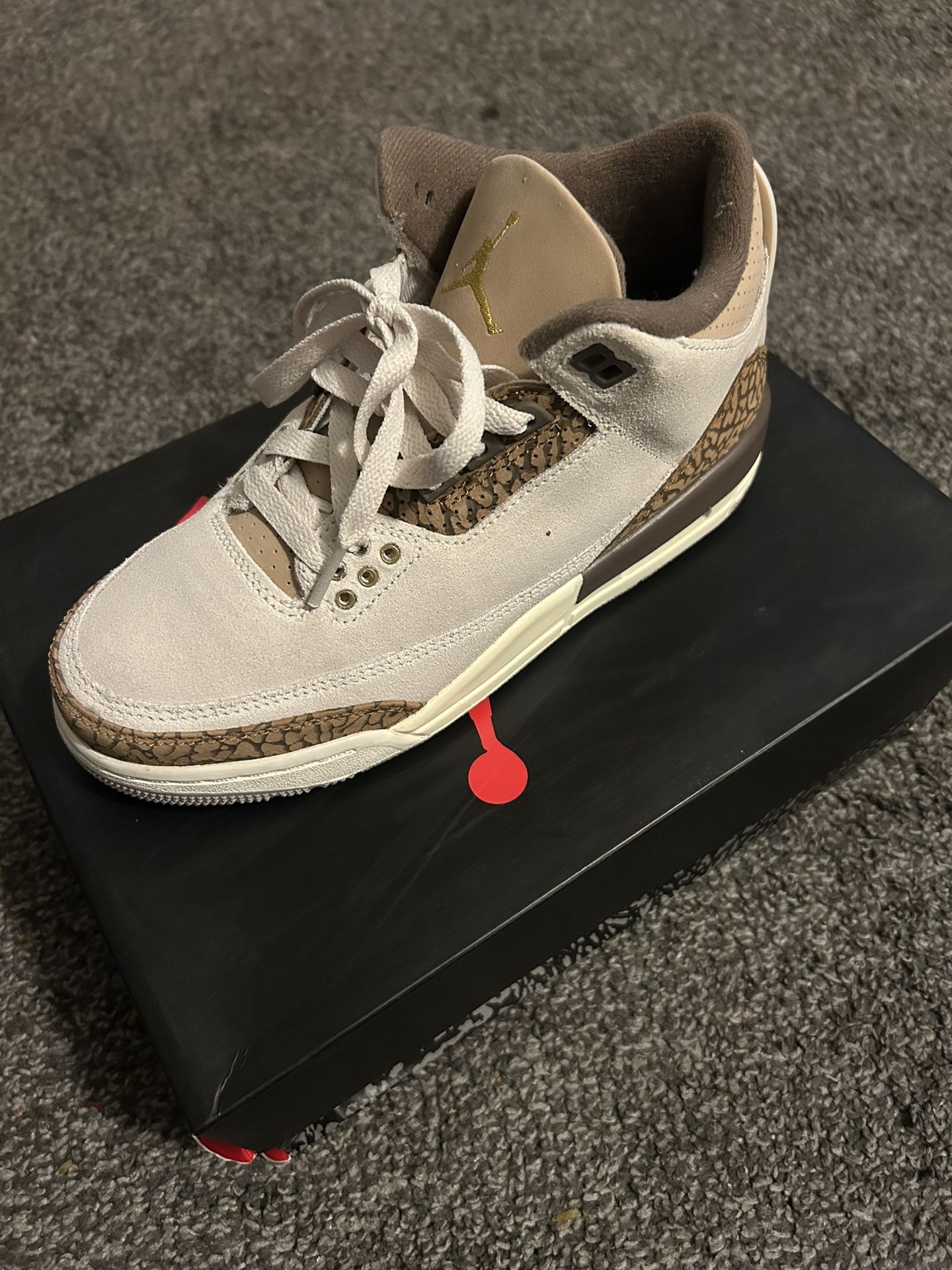 BRAND NEW Jordan Retro 3s