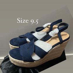 Blue Wedges 