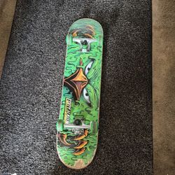 Skate Board 