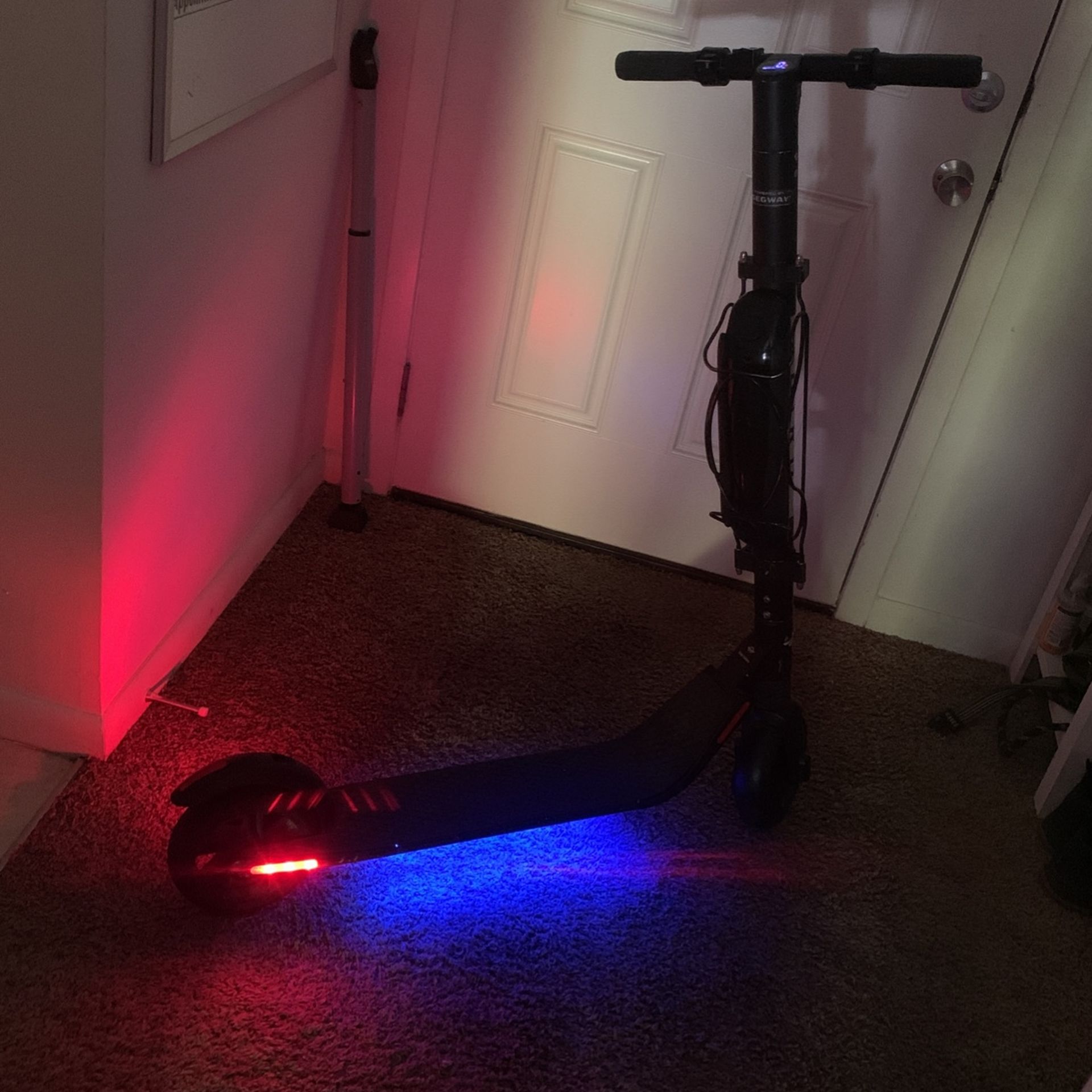 Bird Electric Scooter