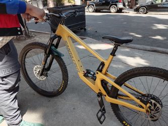 Santa Cruz Bronson