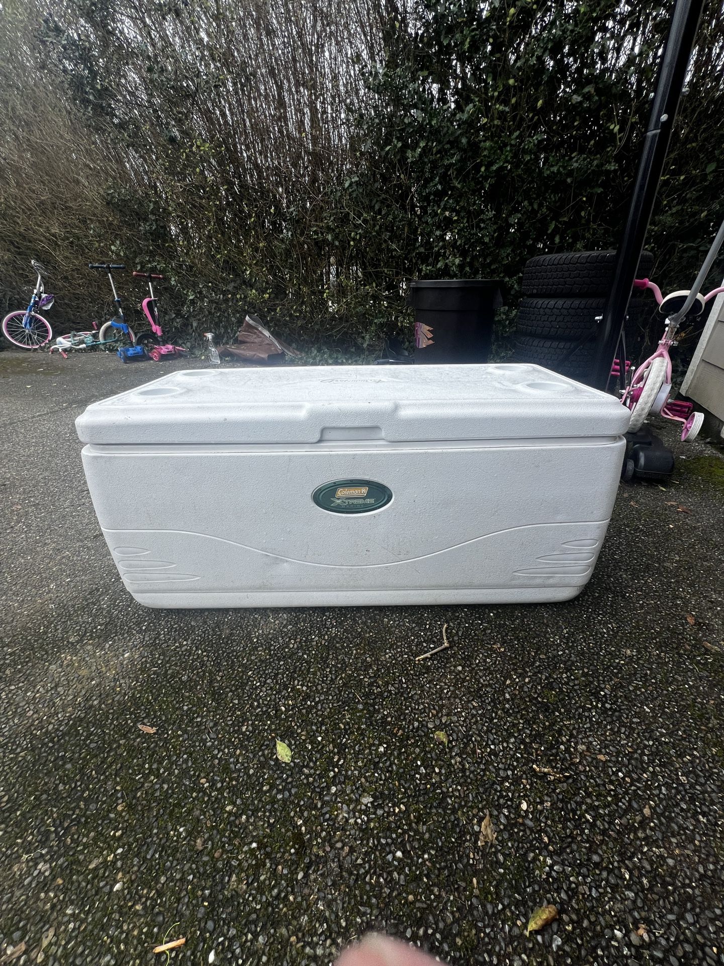 Coleman extreme marine cooler