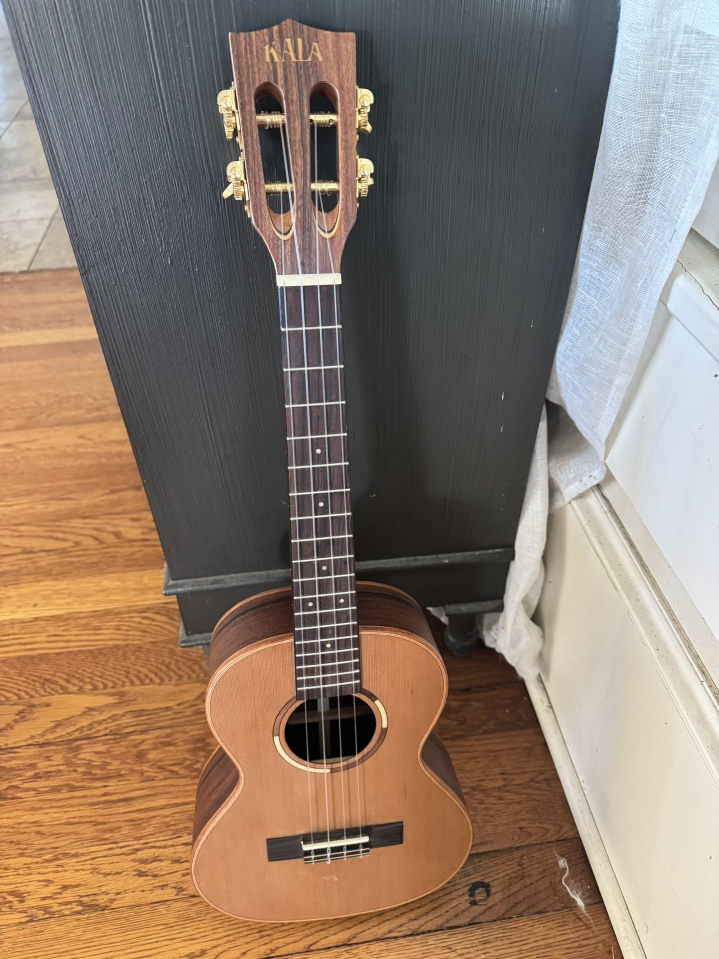 Kala Ukulele With Case