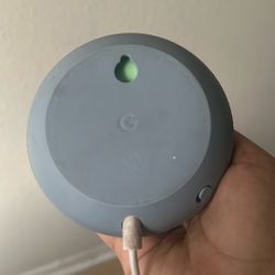 Google Nest