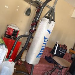 Everlast Boxing Bag