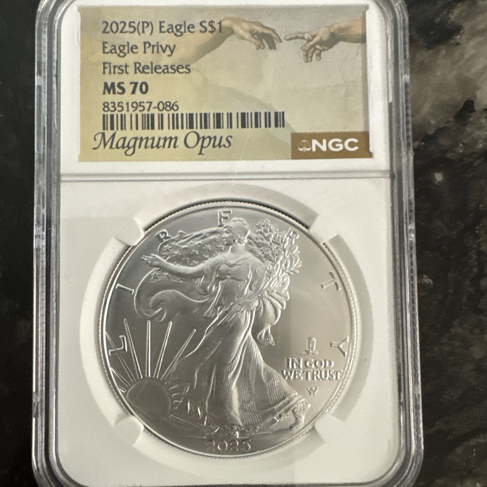 2025 (P) $1 American Silver Eagle NGC MS70 FR Magnum Opus Eagle Privy IN HAND!